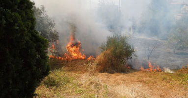 Prevenzione incendi, a Gravina denunciati dieci proprietari di terreni