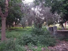 Acireale, Cannavò: “Parco in pieno centro ridotto in condizioni pietose”