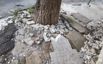 Piazza Europa di Acireale, Cannavò: “Quartiere in stato di abbandono”
