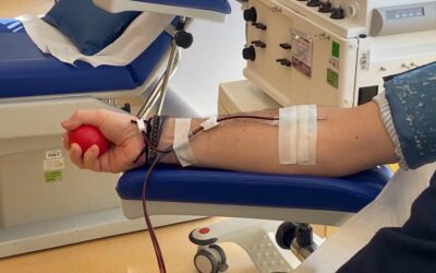 Carenza di sangue, dal Servizio Trasfusionale del Policlinico di Catania l’appello a donare