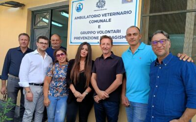 Belpasso, pronto a riaprire l’ambulatorio veterinario: al via le sterilizzazioni dei cani randagi